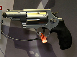 S&W Governor Stainless