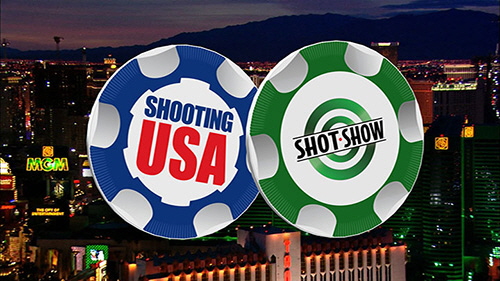 Poker-Chips-over-Vegas-500