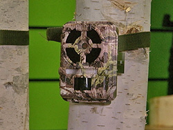 Primos-Proof-CamerasSM