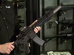 Sig Sauer MCX SBR_SM