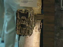 Bushnell Trophy Cam HDSM