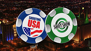 Vegas poker chips300