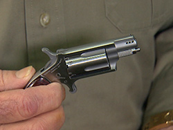 NorthAmericanArms_22Magnum-S