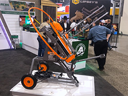 Champion Freedom Bird