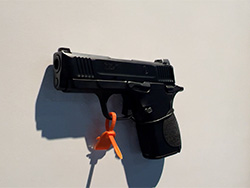 SW CSX Micro Compact Pistol