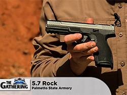 41-02-PalmettoState5.7Rock