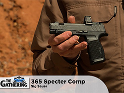 41-02-SigSauer365SpecterComp