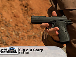 41-02-SigSauerSig210Carry