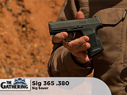 41-02-SigSauerSig365.380
