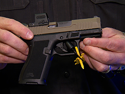 SUSA 4115_SHOT_Palmetto