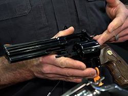 SUSA_4504_Colt Blued Anaconda
