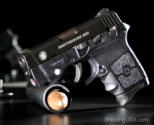 homeSWsept10380pistol